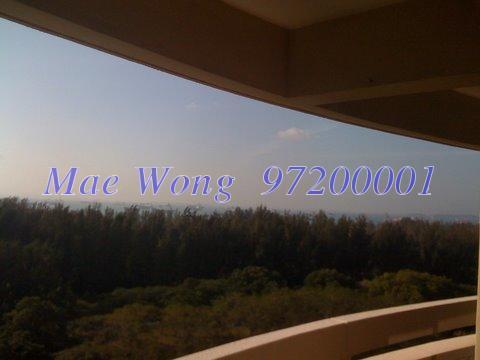 Hawaii Tower (D15), Condominium #120408222